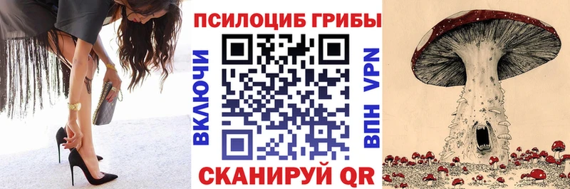 Купить закладки  Липецк  Псилоцибиновые грибы Psilocybine cubensis 